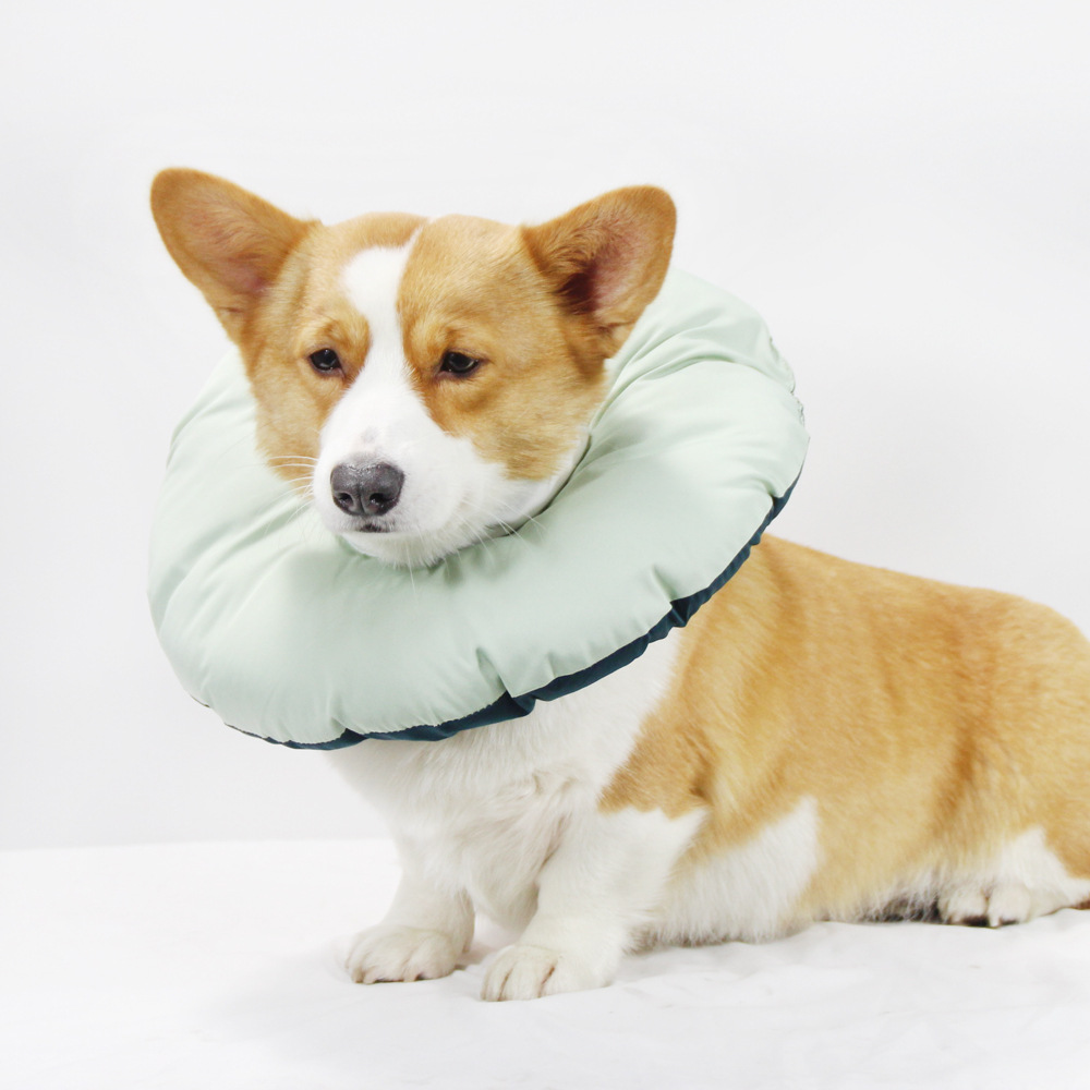 Green Adjustable Soft Elizabethan Pet Recovery Collar Size M