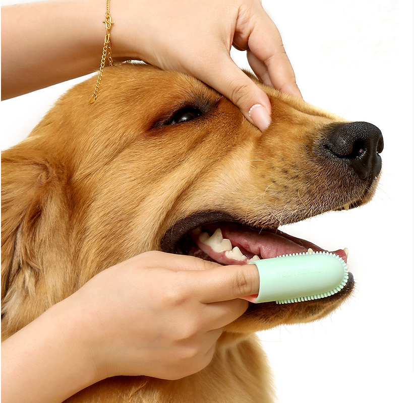 White 5-Pack Pet Finger Toothbrush Set - Image 3