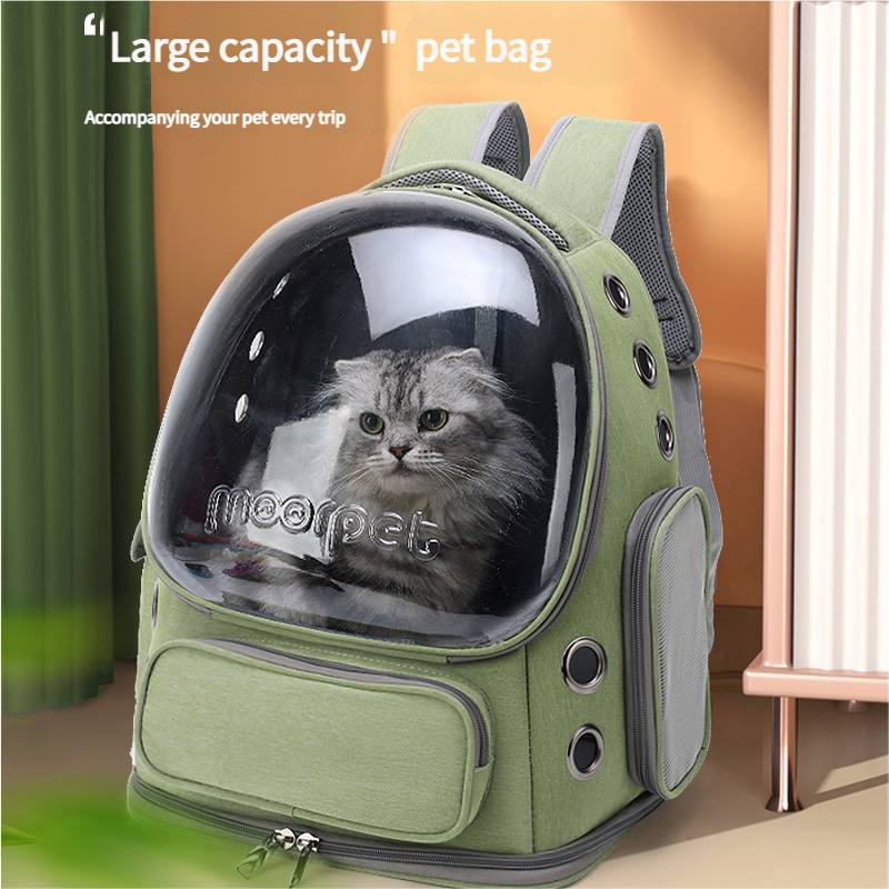 Black Spacious Pet Carrier with Ventilation System & Water-Resistant Design - Image 4