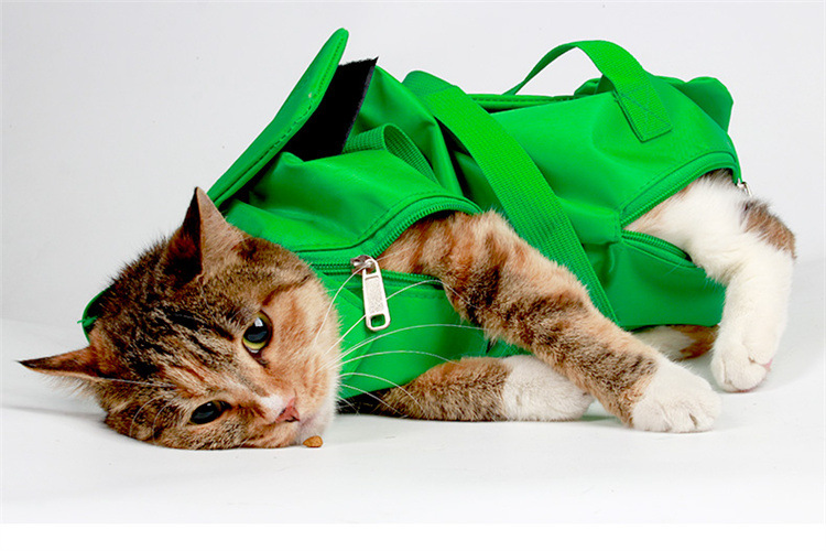 Size L Green Cat Grooming Bag - Image 10