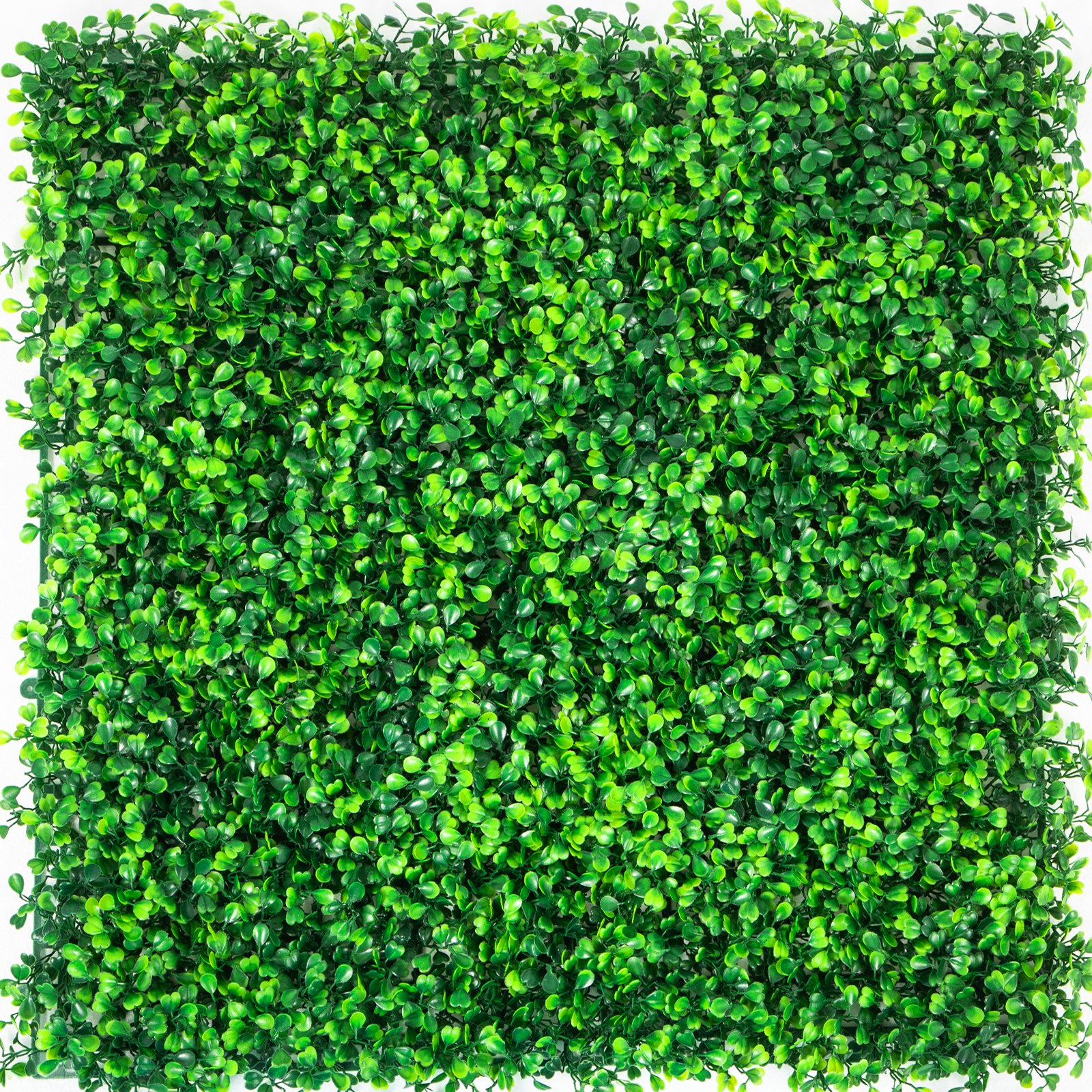 Artificial Boxwood Panels 14 PCS 50.8x50.8cm - Image 9