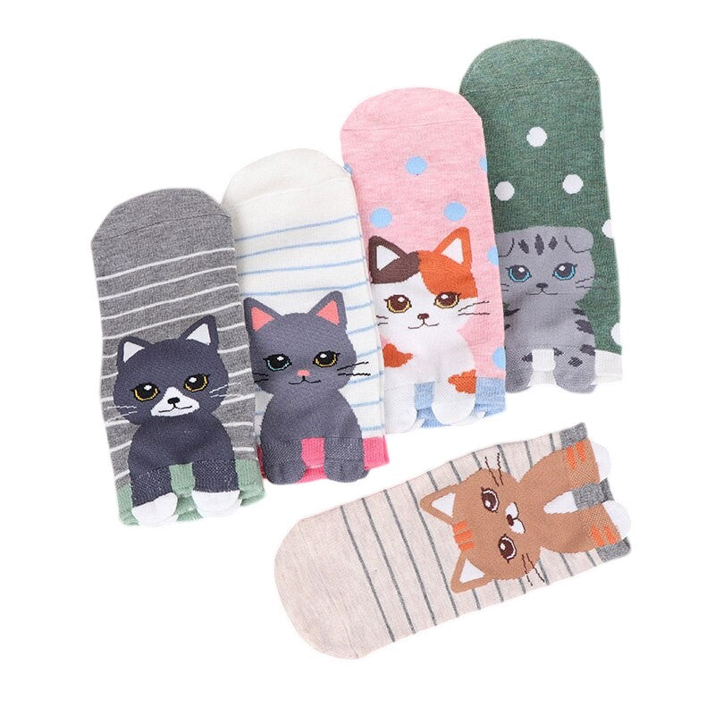 5 Pairs One Size 5-9 Rainbow Colour Kitten Fashion Cartoon Cute Women's Socks - Free Shipping