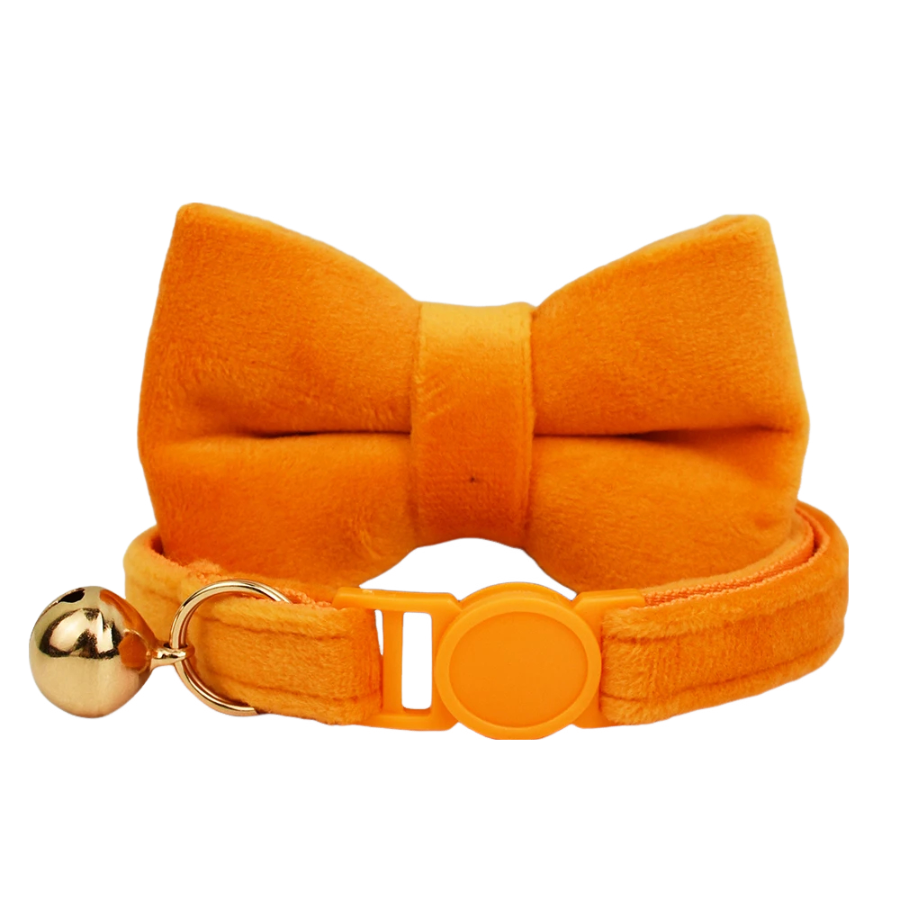 Orange Large Bow Cat Collar, Safety Buckle and Strap, Stylish and Comfortable